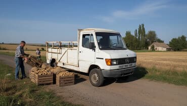передний бампер опель вектра с: Mercedes-Benz T1: 1989 г., 2.4 л, Механика, Дизель, Бус — 2