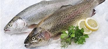 Форель радужная, 650-700сом Преимущества: - Плотное мясо,выращивается