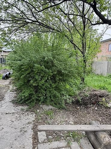 red centr: Адрес: Бишкек, Первомайский район, улица Волковой, 11 (частный дом, 1 — 8