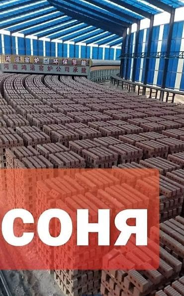 Пустотелый, дырчатый, жжёный кирпич,полублок,?90 завод соня кирпич