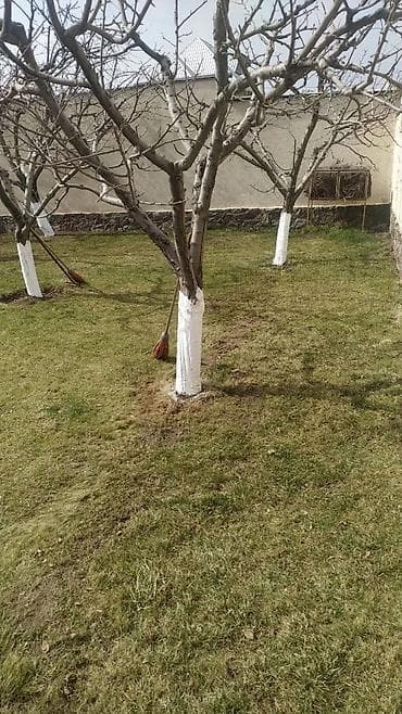 Уборка помещений: Уборка территории, Уборка двора и сада — 7