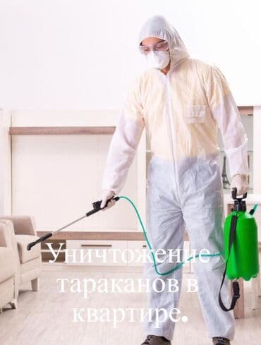 уничтожение клоп блох: Дезинфекция, дезинсекция, | Клопы, Блохи, Тараканы, | Транспорт, Офисы, Квартиры — 1