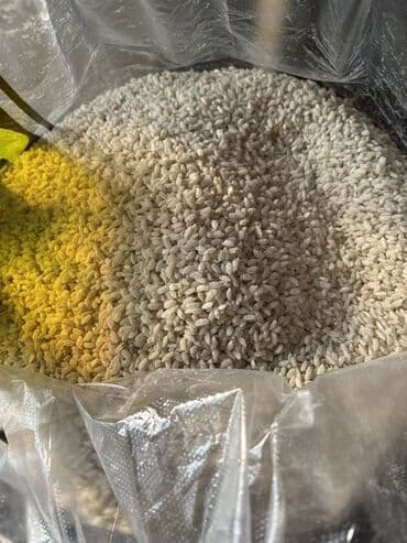 закрывашка для банок цена: Куруч сатылат! Аланга 130 сомдон, тоголок молдо Васильева кесилишинде — 1