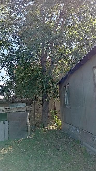 вещи каракол: Бекер эчнерсе калтырбай алып кетиш керек — 2