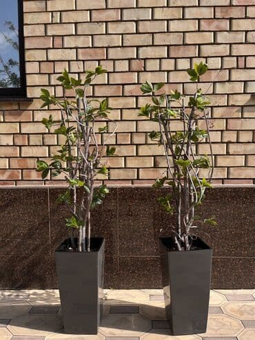 шкаф для одежды новый: 🌿 Мы — Mayram Decor KG, ваш надежный партнёр в создании эффектных и — 32