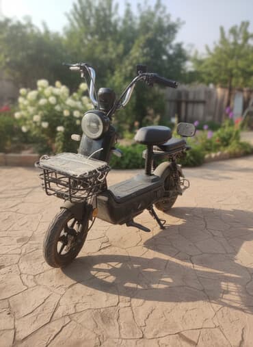 электро мопед как мотоцикл: Электроскутер (городской мини-скутер) с двумя сиденьями и багажной — 2