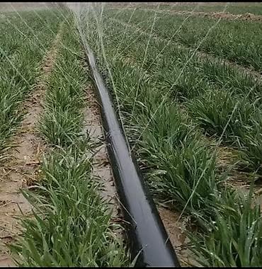 рельеф: Спрей лента-/для орошения,огурцов,помидоров,газона а также для — 5