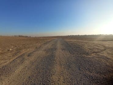 дома на обмен: 225 соток, Для бизнеса, Договор купли-продажи — 9