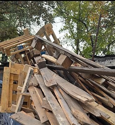 Ашкана буюмдары: Отун Акысыз жеткирүү — 1