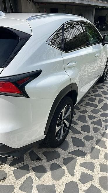 Транспорт: Lexus NX: 2021 г., 2 л, Автомат, Бензин, Кроссовер — 4