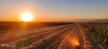 куплю землю сельхозназначения: 5000 соток, Для сельского хозяйства, Договор купли-продажи — 7