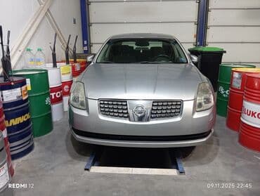 Nissan Maxima: 2004 г., 3.5 л, Автомат, Газ, Седан