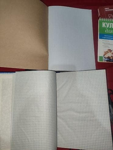 Сейфы: Продам оптом "Книги учёта" формат А4, 96 листов, для бухгалтерии — 9