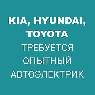 Вакансия: автоэлектрик/автодиагност Ищется опытный автоэлектрик по
