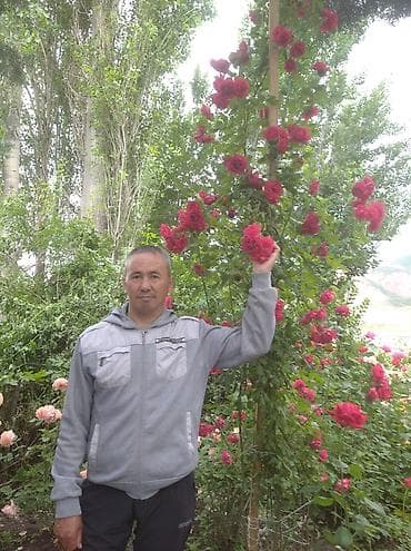 бу шкаф бишкек: Одеяло, Мамык/куштун жүнү, Бардык мезгилдер — 4