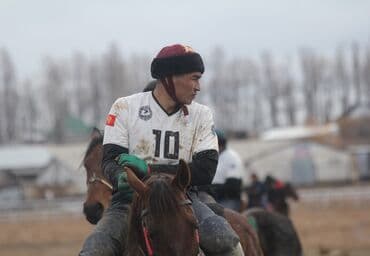 Кок бору форма ! Кок-боруго форма тигебиз! Кыргызстандын алдыңкы at lalafo.kg Кок бору форма ! Кок-боруго форма тигебиз! Кыргызстандын алдыңкы