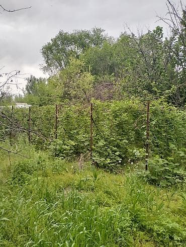 распродажа гаража: Продаётся дом в селе Будённовка с участком 18 соток.Помимо дома — 7