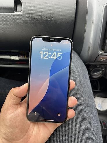 iphone e: IPhone 12 Pro Max, Серебристый — 1