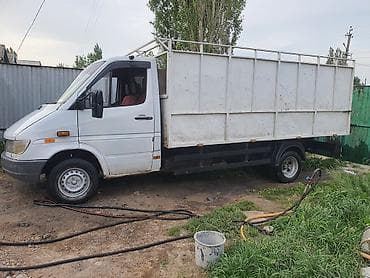 Транспорт: Mercedes-Benz Спринтер: 1999 г. — 1