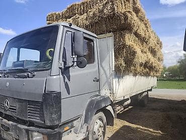 мерседес атего самосвал: Грузовик, Mercedes-Benz, Стандарт, Б/у — 2