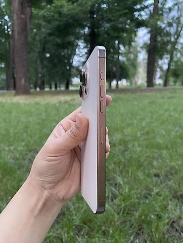 apple whatch se: IPhone 16 Pro Max, 256 ГБ, Золотой, 90 % — 5