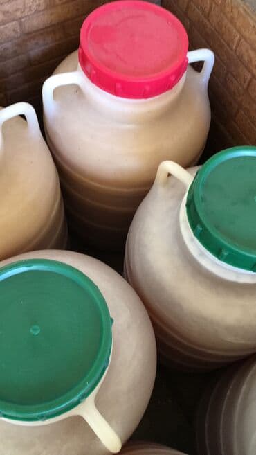 куда продать мёд оптом: Продаю тогтогульский мёд оптом . разнотравие . мёд чистый качество — 4