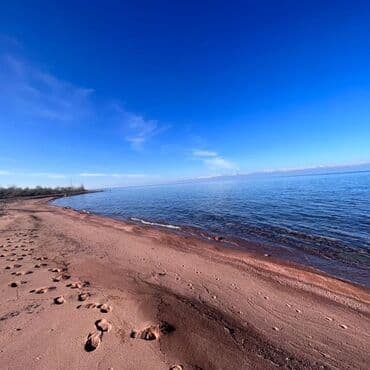 сдам частный дом без хозяина в бишкеке: 10 соток, Для сельского хозяйства, Красная книга, Договор купли-продажи — 7