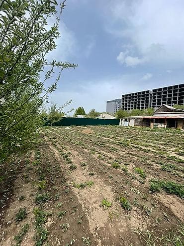 участки в бишкеке продажа дешево срочно: 14 соток, Для сельского хозяйства, Красная книга — 2