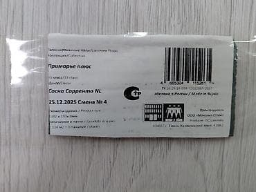 ламинат для пол: Ламинат «Приморье плюс», декор Сосна Сорренто NL - Назначение — 2