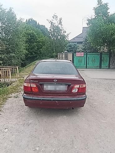 нисан примера: Nissan Almera: 2002 г., 1.5 л, Механика, Бензин, Седан — 3