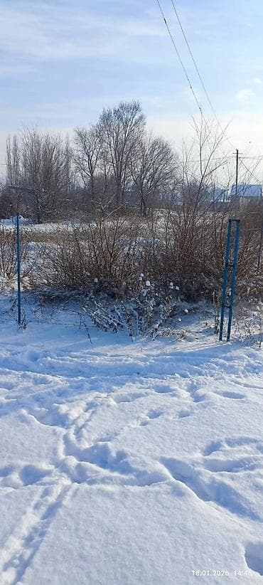 Жер тилкелери: 10 соток, Курулуш, Кызыл китеп — 3