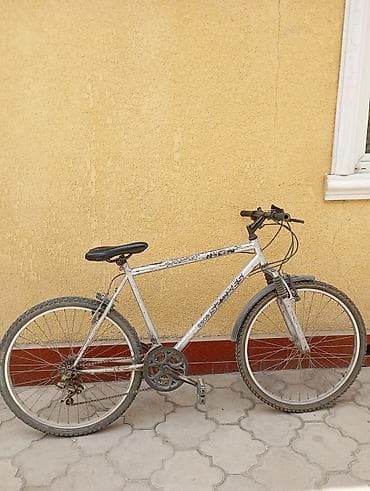 lowii фикс: Горный велосипед, Рама L (172 - 185 см), Сталь — 2