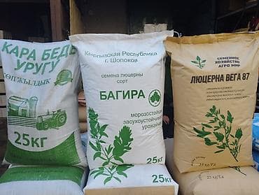 Семена кормовых растений: Люцерна, Самовывоз