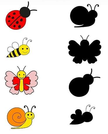 green coffee chrome: ✨Уважаемые родители! ✨Открыт набор детей 1–4 классов на продлёнку и — 5