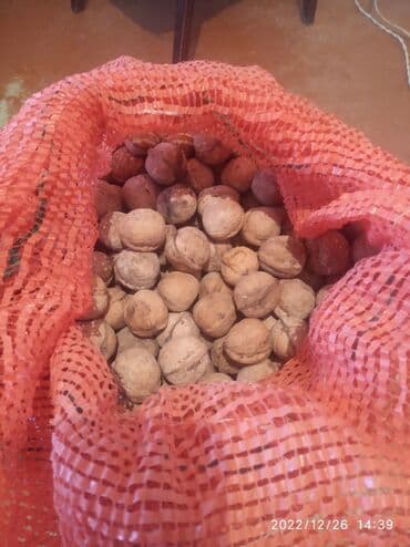 продажа рыбы оптом: Продаю орехи грецкие — 1