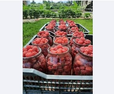 живые раки: Малина 100 — 1