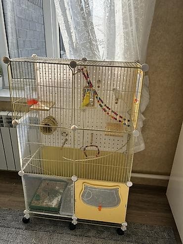 Продаются два волнистых попугая вместе с большой напольной клеткой
