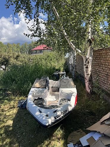 мото ролик: Лодка, Моторная, Стеклопластик — 4