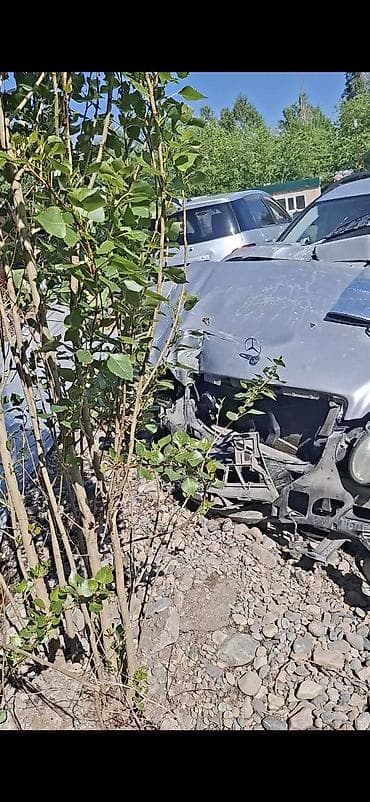 moning: Mercedes-Benz E-Class W211 универсал (рестайлинг, ориентировочно — 5