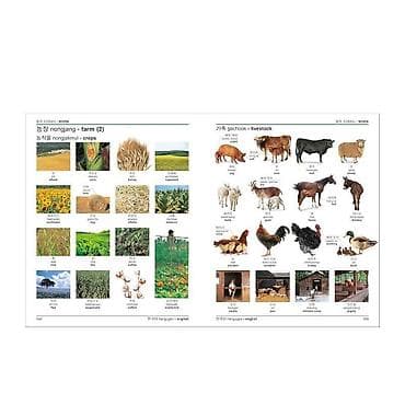 Китептер: Korean–English Bilingual Visual Dictionary (DK) Двухъязычный — 5