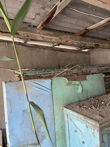 коробки прием: Деревянный Ящик — 3