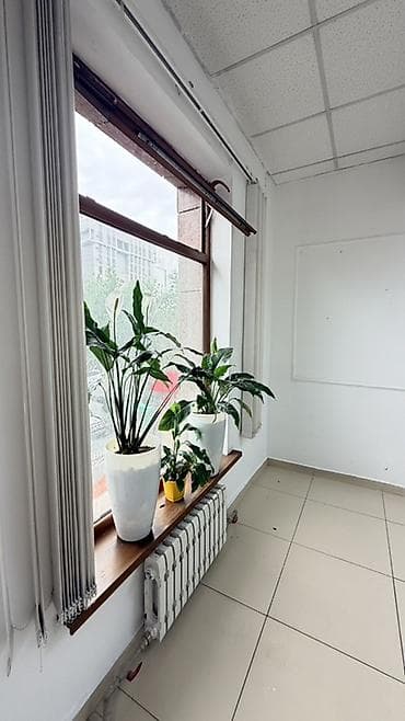 Аренда офисов, 40 м², В бизнес центре, 1 линия — 6
