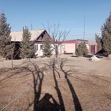 Кыймылсыз мүлк: 25 соток — 10