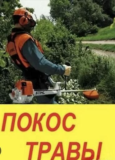 Уборка территории, Стрижка газона