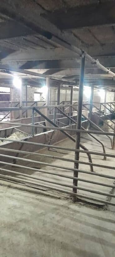 продаю дом новониколаевка: Үй, 150 кв. м, 5 бөлмө, Менчик ээси, Евро оңдоо — 23