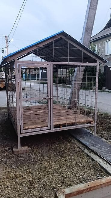 Ремонт и строительство: Вольер для собаки с крышей - Просторный уличный вольер из — 1