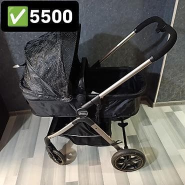rant коляска новый: Коляски — 1