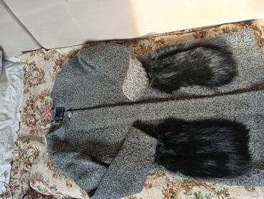 Жынсылар: Пальтолор — 1