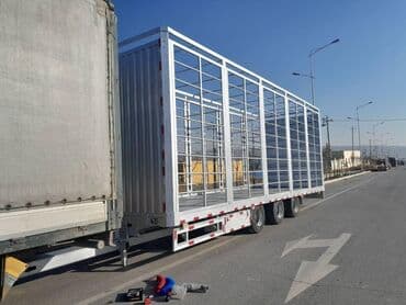 дом передвижной: Грузовик, DAF, Б/у — 11