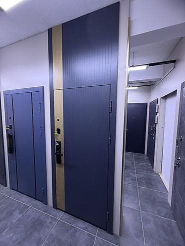 hi tech: Двери для домов и квартир, Металлическая, Одностворчатая, В стиле хай-тек, цвет - Серый — 1